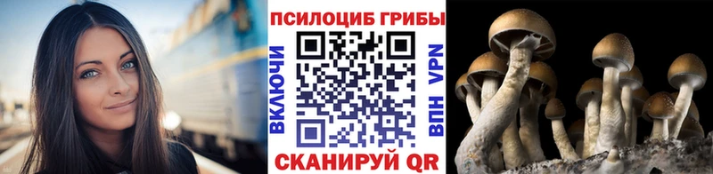 Псилоцибиновые грибы мухоморы  Купить где  Дмитров 